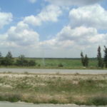 ダマスカス～ボスラ　緑が広がる。肥沃の三日月地帯に含まれる