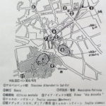 アルベロベッロ地図　トンガリ屋根のトゥルッリが集中しているのは⑩のモンティ地区と⑧のアイア・ピッコラ地区