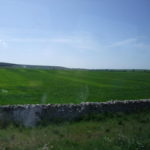プーリア州　ムルジェ高原　イタリア有数の穀倉地帯、石積が延々と続いている