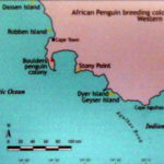 アフリカペンギンの生息地　ロベン島、ボルダー、ダイヤー島、ゲイシャー島が大西洋岸の主な生息地