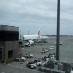 成田空港　スリランカ航空のエンブレムはクジャクである