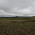グランサバナ　見渡す限り大草原（グランサバナ）が広がるギアナ高地