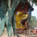 バクタプル市街　道端の木の幹に祠が作られている