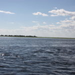 チョベ国立公園　ボートサファリ　この辺りの川幅は４００～５００ｍありそうだ。正面はセドゥドゥ島、ナミビアはではない