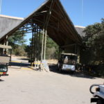 チョベ国立公園　ゲームサファリ　チョベ国立公園の入口、ゴルフカートのよな４駆でドライブする