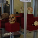 ティワナク遺跡　エントランスの展示、頭蓋変形が行われた骸骨も見える