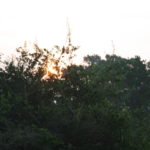 ヤーラ国立公園サファリ　6時30分、日が昇ってきた
