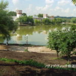 ノヴォデヴィッチ修道院　チャイコフスキーの白鳥の湖の縁の池 、修道院の影が池に映っている。