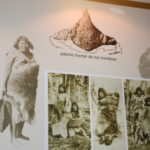 オナ族　グアナゴの毛皮、拡大図