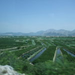 ドゥブロブニクへの道中　ネレトヴァデルタ、灌漑用水路が廻らされ野菜、果樹などが栽培されている