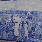 アヴェイロ駅のアズレージョ　ブドウの収穫