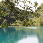 プリトヴィッチェ湖群　カルデロヴァッツ湖、少し青みがかったエメラルドグリーン