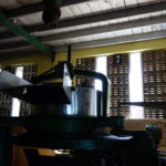 製茶工場、GLENLOCH　ローリング機