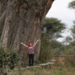 バオバブの木　ツアーの女性が両手を広げているが、１/４くらいだろうか