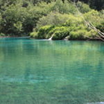 プリトヴィッチェ湖群　カルデロヴァッツ湖、湖底の藻などを反射すると柔らかなエメラルドグリーンになる
