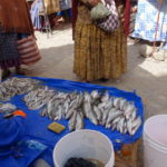 エル･アルト　小魚も売っている、チチカカ湖が近いので一般の人も口に出来る？