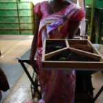 製茶工場、GLENLOCH　各工程での仕掛見本を説明