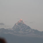 アンナプルナ山群（サランコットの丘）　アンナプルナの山々の山頂が朝日を受けて輝き始めた、先ずはマチャチャプレ