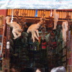 サガルナガ通り　魔女通りにはリャマの胎児のミイラが吊るされている
