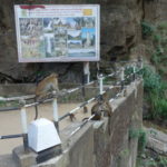 ラワナの滝　犬や猿が観光客が食物をくれるのを待っている