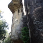 コブラ岩　頂上から下りているとコブラが頭を突き出したような岩があり、コブラの岩と云われている