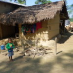 タルー族の村　タルー族の村、家の壁は泥と牛糞を捏ねたものでつくる