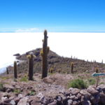インカワシ島　青い空、真っ白い塩原ににょきにょき伸びるハシラサボテンの取り合わせが面白い