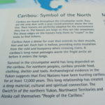 ユーコン野生動物保護区　パネル：ウッドランド・カリブーが極北動物のシンボルとされることの解説